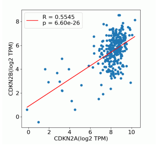 Expression Analysis