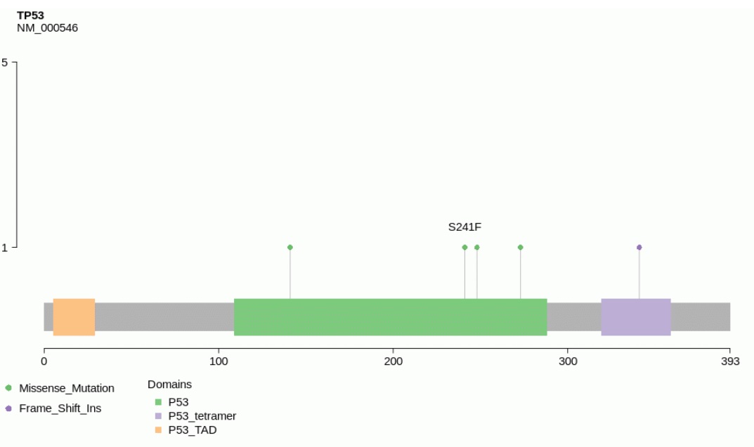 Mutation Analysis